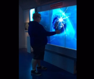 Sanal köpek balığı öyle korkuttu ki !