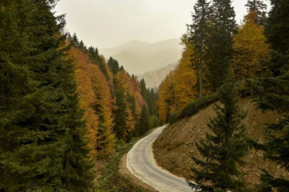 Örümcek Ormanları sonbaharda bir başka güzel