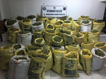 Operasyon tamamlandı: PKK'ya ağır darbe