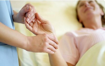 Güney Kore'de 'kuş gribi' alarmı