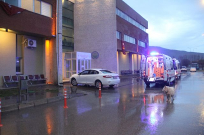 Hasta ve refakatçiler hastanelik oldu