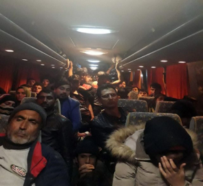 294 kaçak göçmen yakalandı