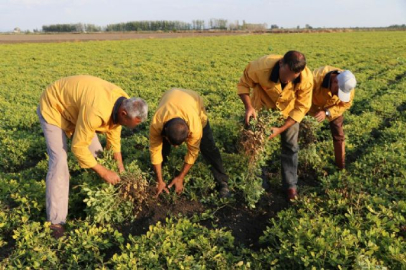 Cezalarını organik tarım yaparak çekiyorlar