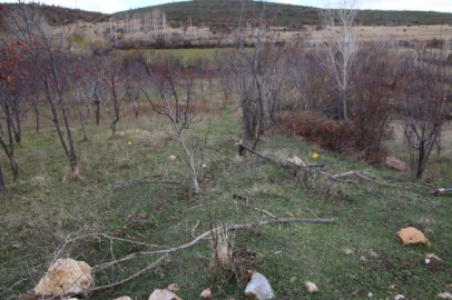 Hayvan otlatma yeri kavgası: 1 ölü, 1 yaralı