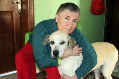 Kredi çekti, arabasını satıp hayatını köpeklere adadı