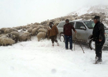 Yaylada mahsur kalan 7 kişi kurtarıldı