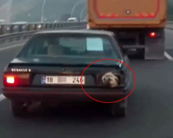 Başkentte şaşırtan görüntü