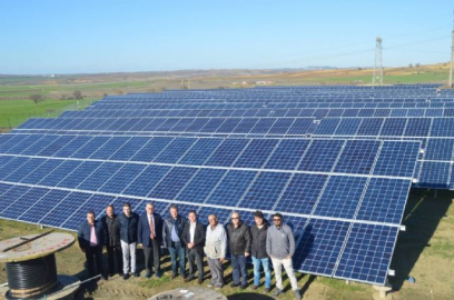 Tarlasına buğday değil güneş ekti