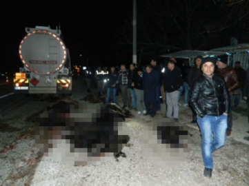 Tanker sürüye daldı: Çoban öldü !