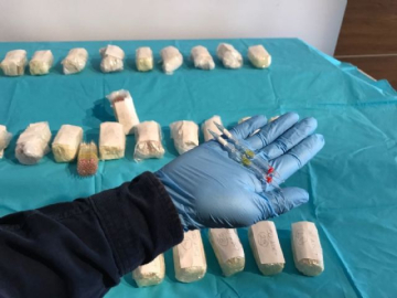 İstanbul'da rekor seviyede kobra zehri ele geçirildi