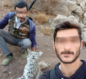 Hayvan öldürene eziyet edene ceza gibi ceza geliyor