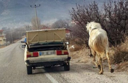 'Vicdansız' yolculuk