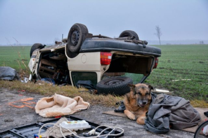 Sadık dostu onu terk etmedi