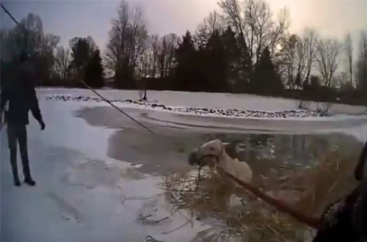 Atı donmuş göletten böyle kurtardılar
