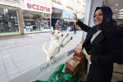 Patisiyle tıklıyor, yemeğini kapıyor