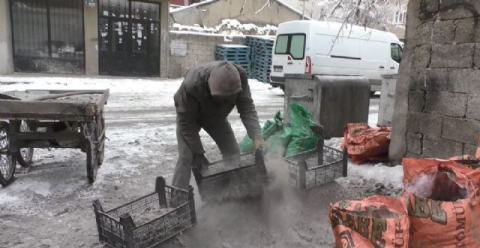 Yanmış kömür toplayarak ailesini geçindiriyor