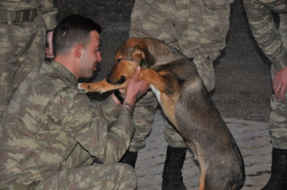 Cesur, asker abilerine kavuştu