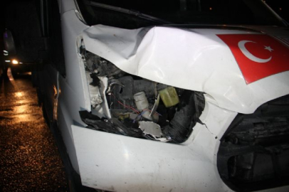 TEM'de kamyonetin çarptığı yaya hayatını kaybetti