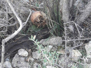 Çalılıklarda insan kemikleri bulundu