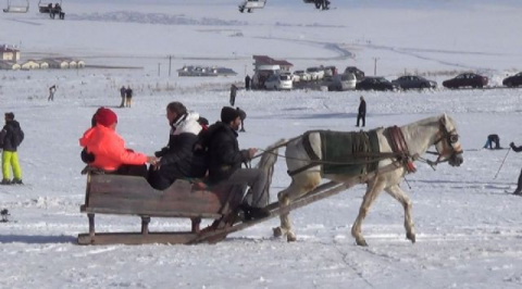 Sarıkamış'ta atlı kızakla kayak keyfi