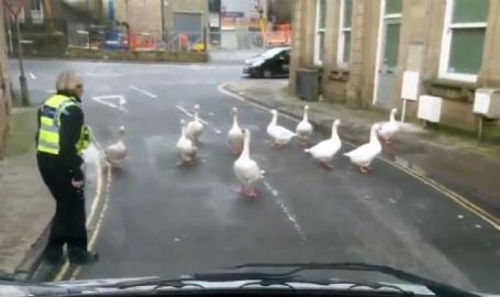 Polis otosunun önünü kestiler