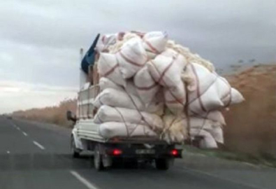 Bu kadarına da pes artık