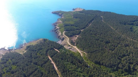 Nükleer santral kurulacak alan havadan görüntülendi