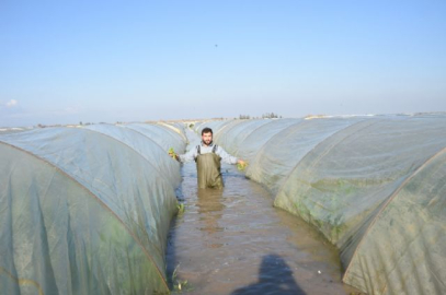 'Şiddetli yağışların zararı 115 milyon lira'