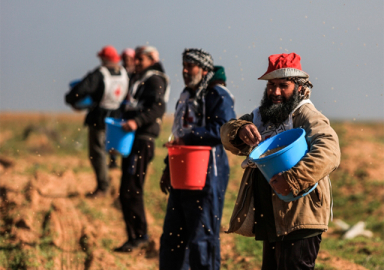 Gazze sınır şeridinde 12 yıl aradan sonra ekim