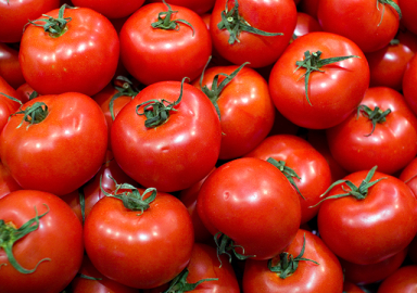 Rusya Tarım Bakanlığı'ndan, Türkiye'de üretilen domatesler hakkında yeni açıklama