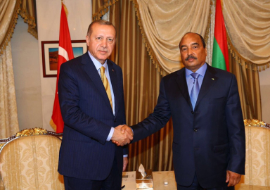 Erdoğan, Moritanya Cumhurbaşkanı Abdulaziz ile baş başa görüştü