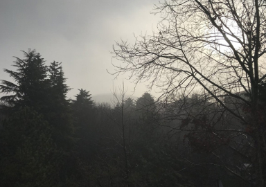 İstanbul'da sis ulaşımı olumsuz etkiledi