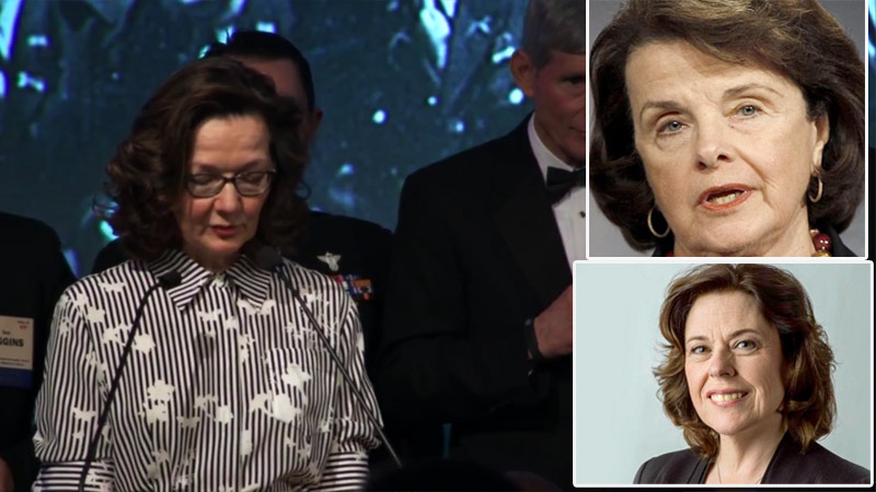 gina-haspel-kimdir-hangi-resmi-gercek-jpgW9q4ahn1