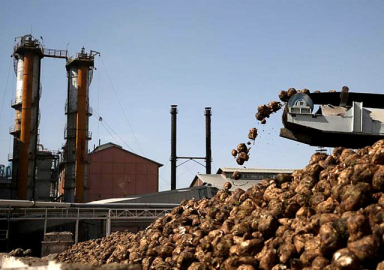 Çorum ve Yozgat şeker fabrikaları satıldı! Yeni sahibi kim oldu...