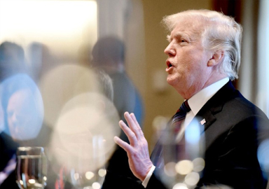 Trump: Suriye ile ilgili muhtemelen gün bitmeden bir karar vereceğim