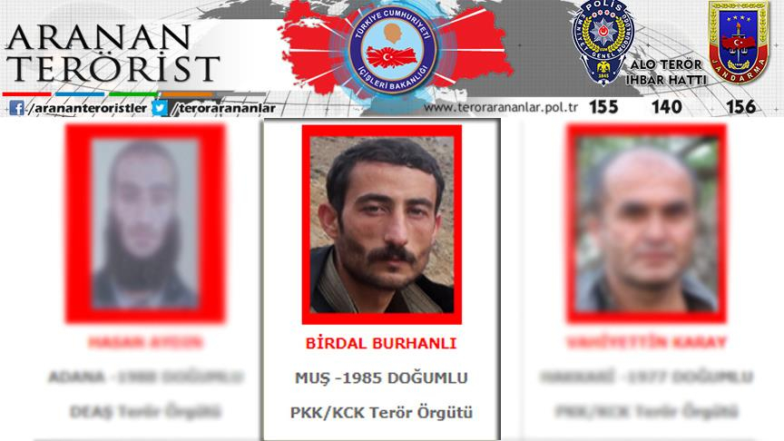 thumbs_b_c_aa577e5588cb521ae1c8b416bd1670b0