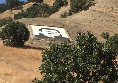 PKK Kandil'den kaçıyor!