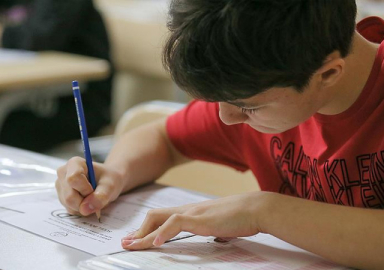 LGS sonuçları açıklandı