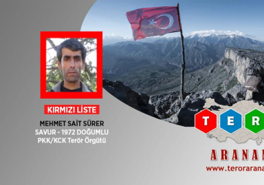 4 milyon lira ödülle aranan terörist etkisiz hale getirildi