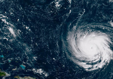 Michael Kasırgası Florida'ya ulaştı