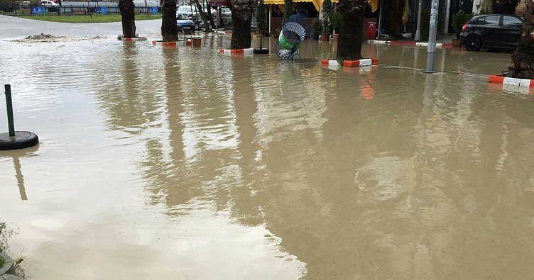 1910455_1_1539326366G7X7B