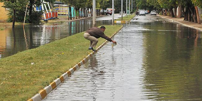 1910455_2_1539326622RDiEP