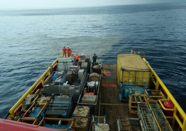 Endonezya'da yolcu uçağı düştü