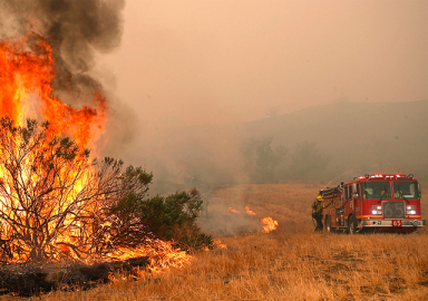 Kaliforniya'da orman yangını: 23 kişi hayatını kaybetti