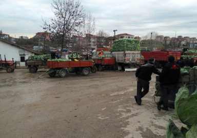 Geçen sene 1 lira olan lahana bu sezon 5 lira