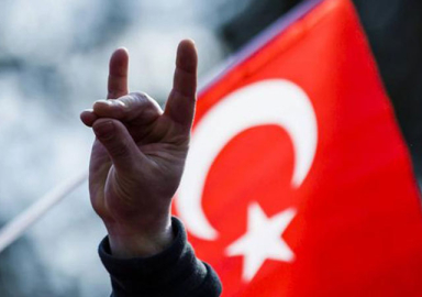 Avusturya'da 'Sembol Yasası': Bozkurt işareti yasak!