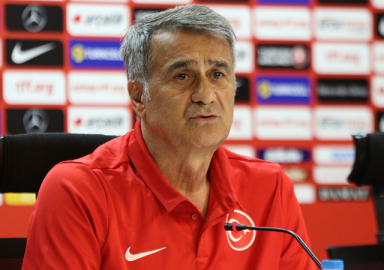 Şenol Güneş'ten İzlanda açıklaması