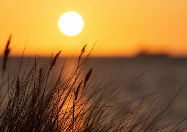 Meteoroloji'den sıcak hava uyarısı