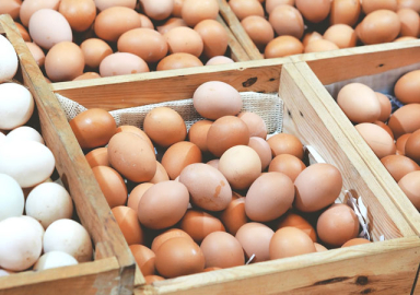Yumurta üreticisine destek!