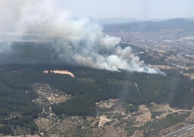İzmir'de orman yangını!
